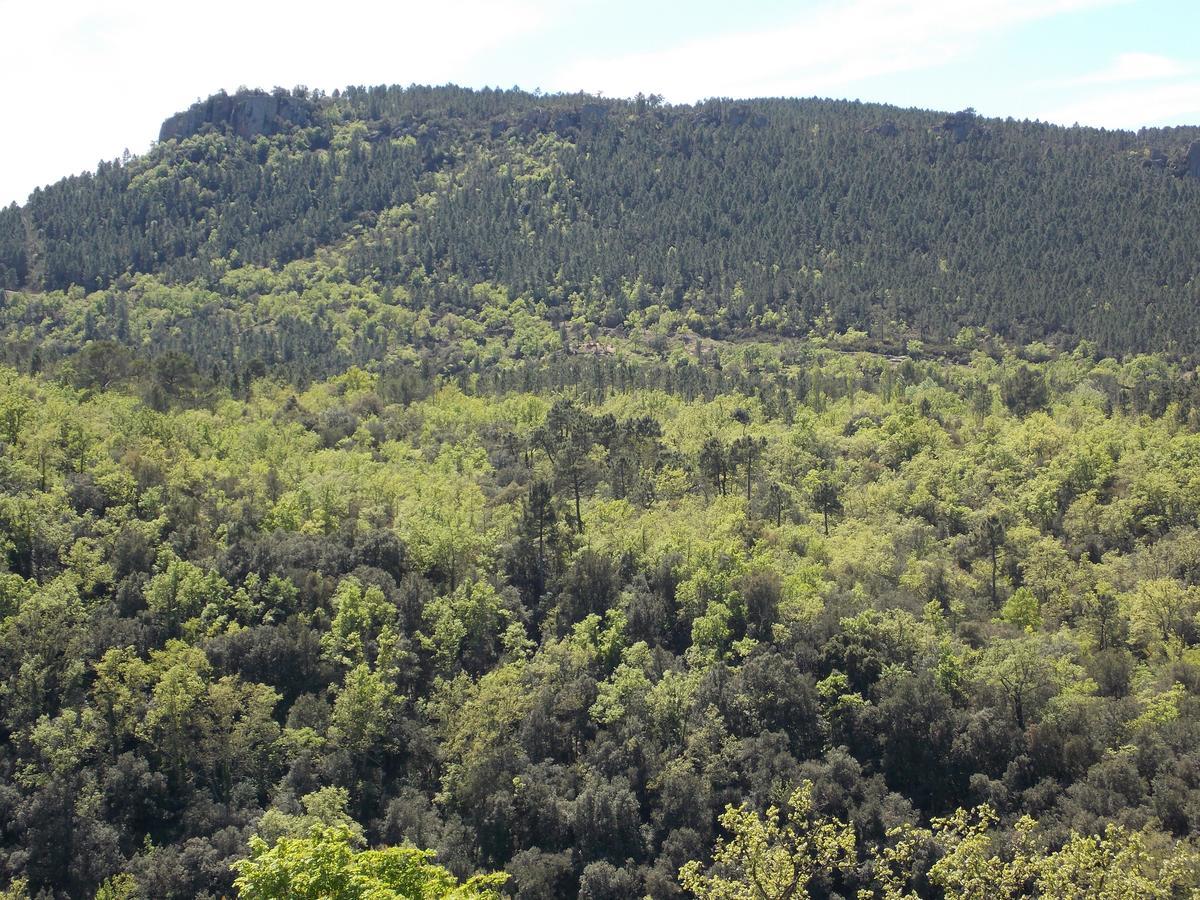 فندق Au Relais Provencal Bagnols-en-Forêt المظهر الخارجي الصورة